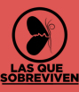 Festival de Sopes del Món Mundial 2025 — “La Pau”